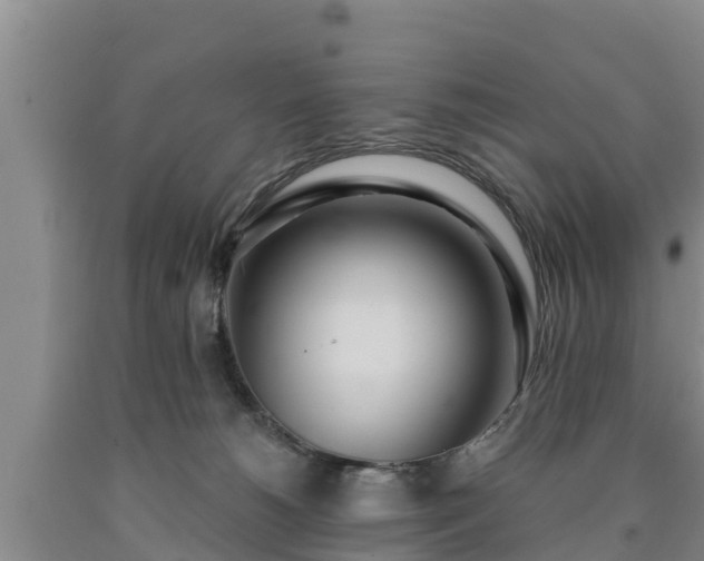 X0000090710180200707271139