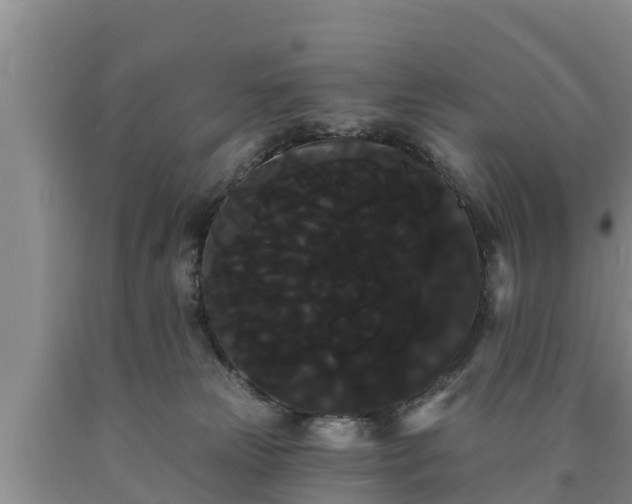 X0000090710181200707271139