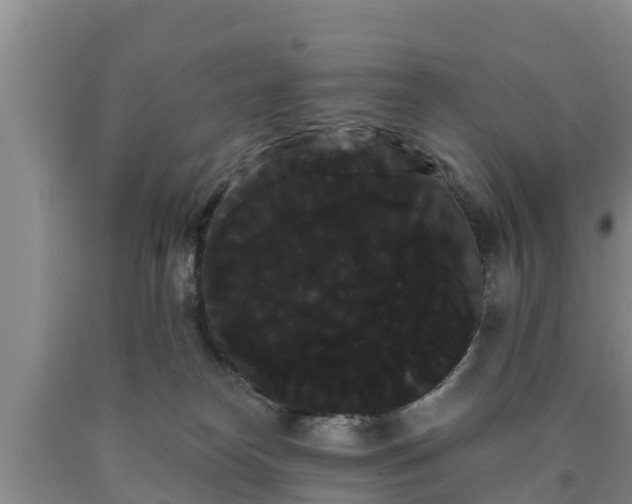 X0000090710182200707271139