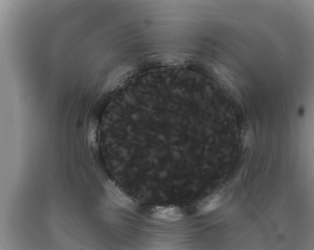 X0000090710185200707271139