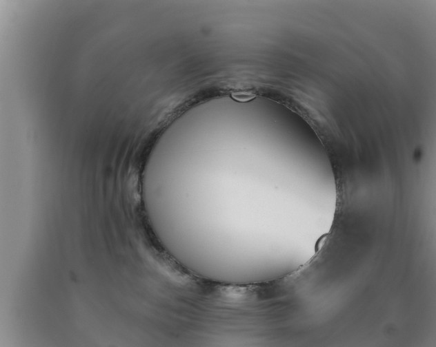 X0000090710187200707271139