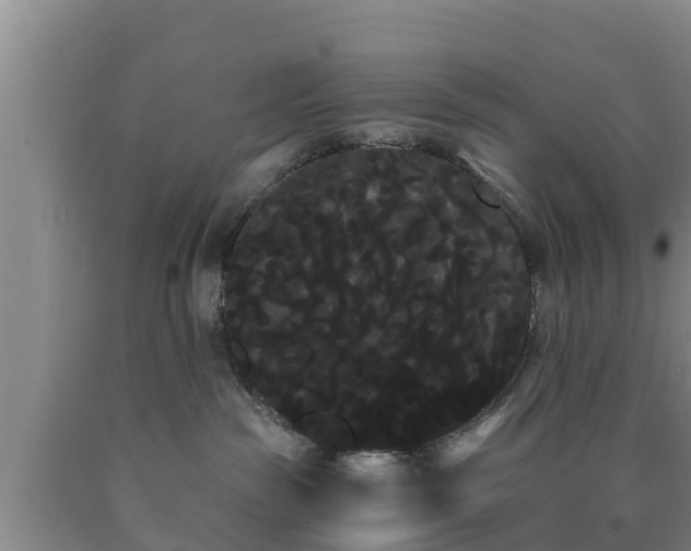 X0000090710189200707271139