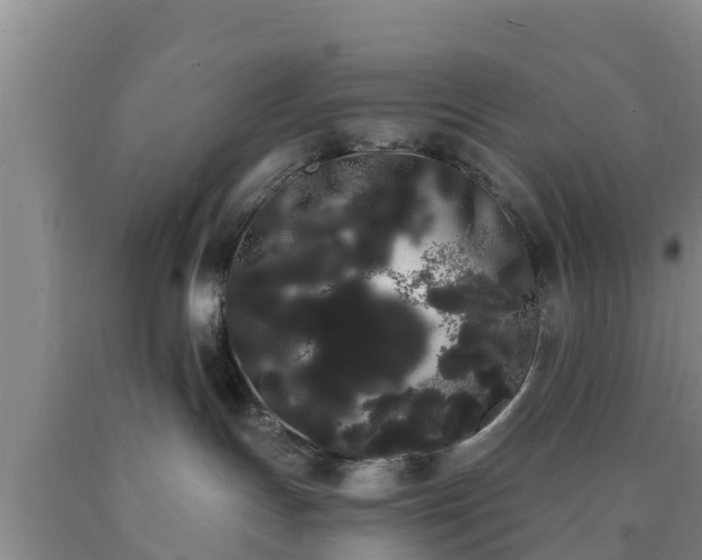 X0000090710191200707271139