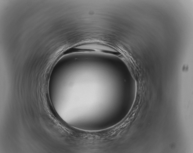 X0000090710193200707271138