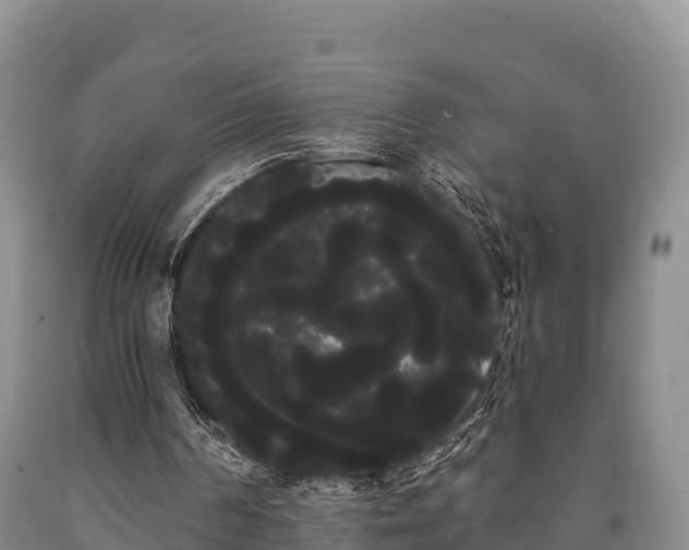 X0000090710194200707271138