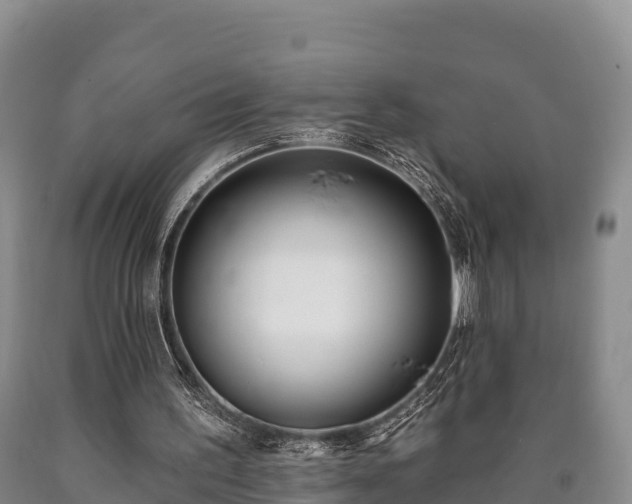 X0000090710195200707271138