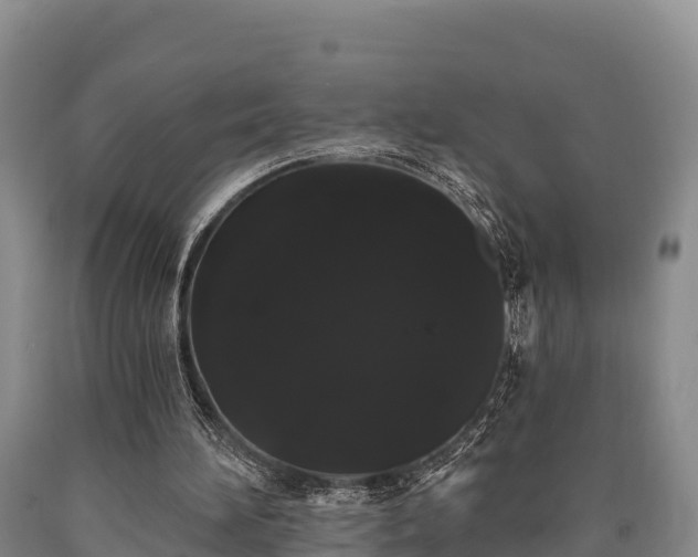 X0000090710196200707271138