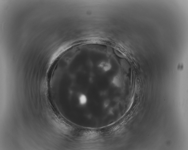 X0000090710198200707271138