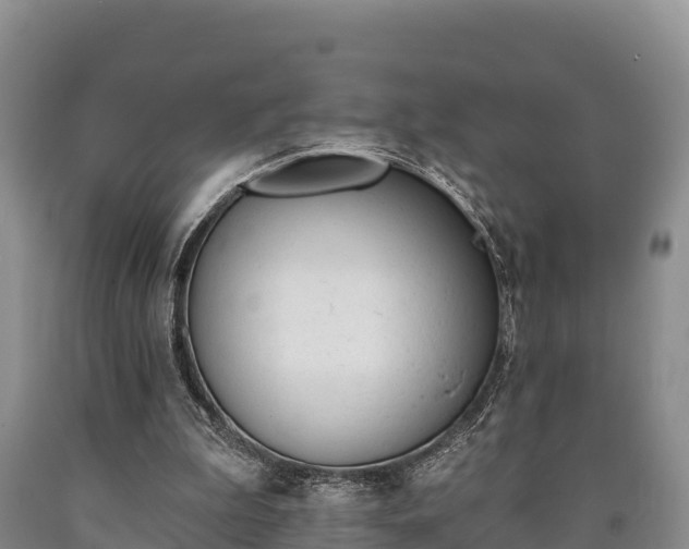 X0000090710199200707271138