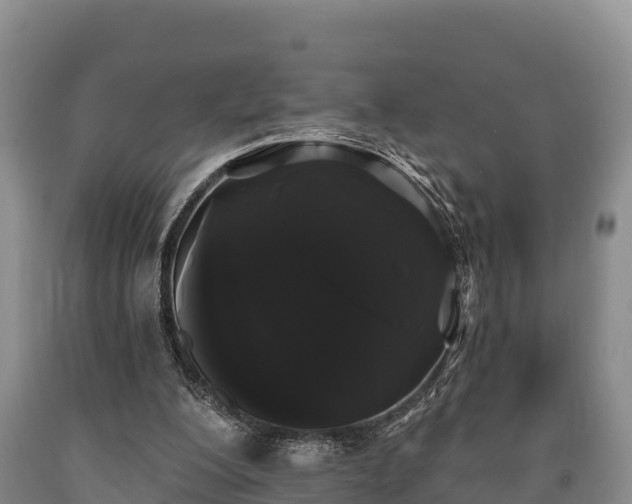 X0000090710200200707271138