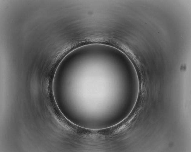 X0000090710201200707271138