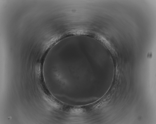 X0000090710202200707271138