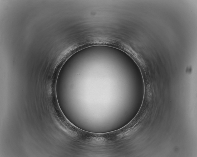 X0000090710203200707271138