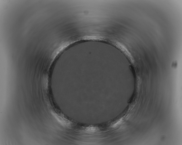 X0000090710204200707271138