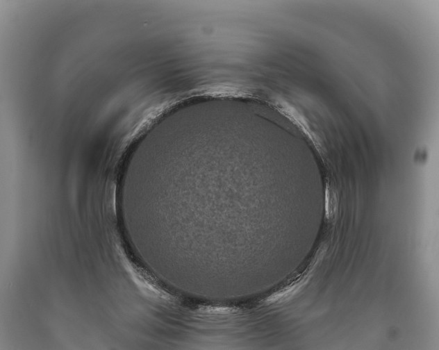 X0000090710205200707271138