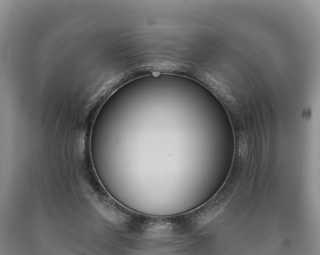 X0000090710206200707271138