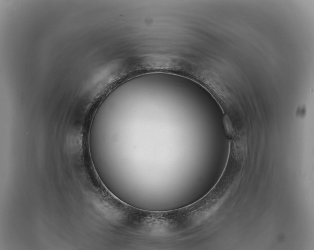 X0000090710207200707271138