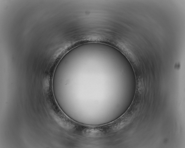 X0000090710208200707271138