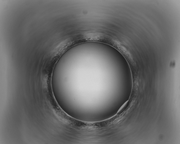 X0000090710209200707271138