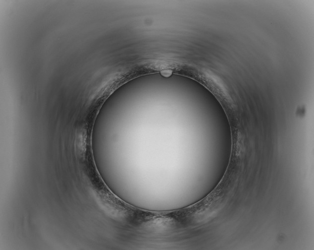 X0000090710210200707271138