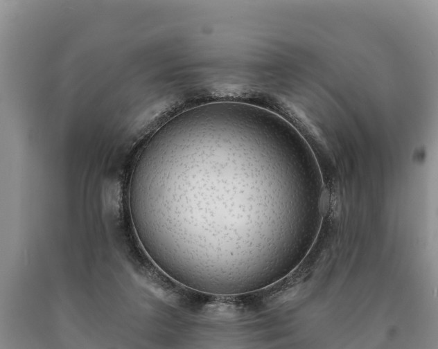 X0000090710211200707271138