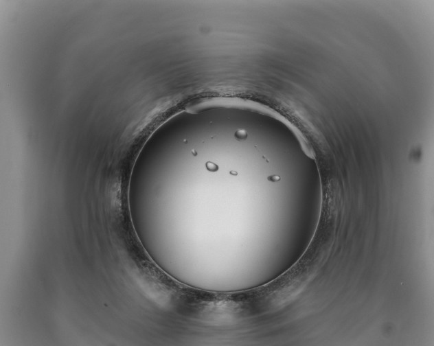 X0000090710212200707271138