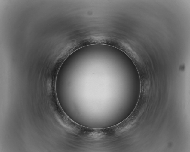 X0000090710213200707271138