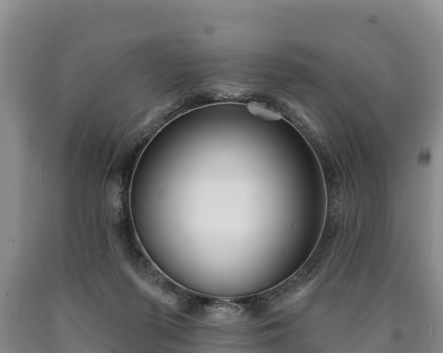 X0000090710215200707271138