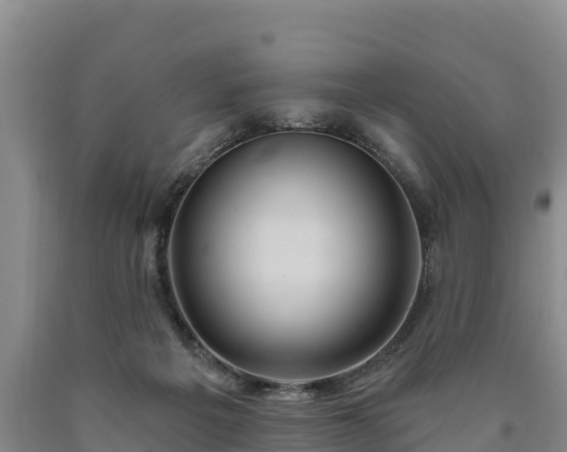 X0000090710217200707271138