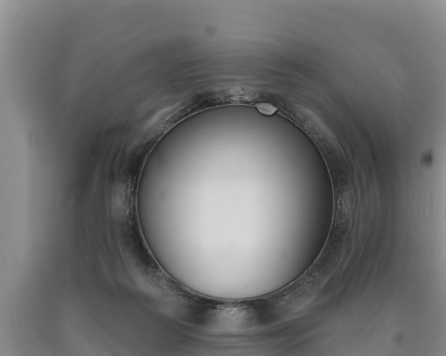 X0000090710218200707271138