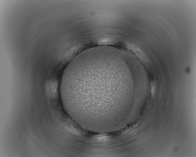 X0000090710219200707271138