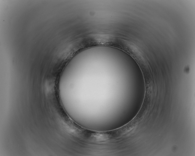 X0000090710221200707271138