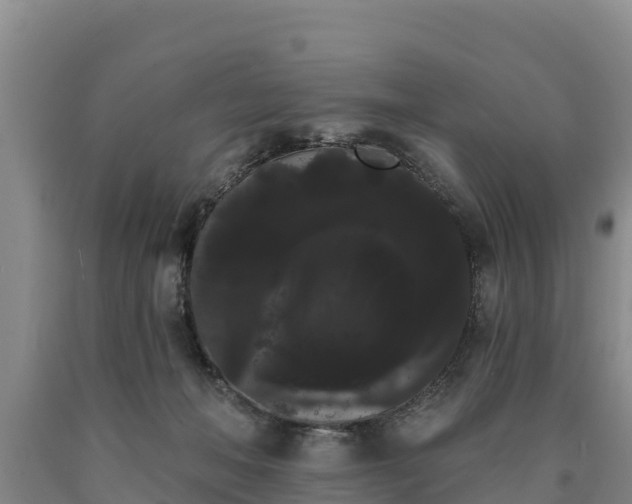 X0000090710222200707271138