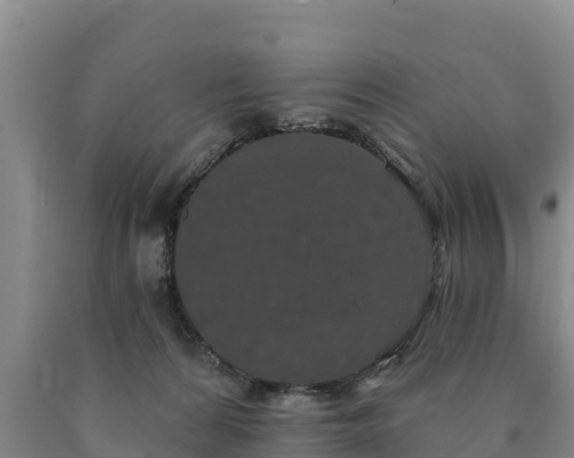 X0000090710224200707271138