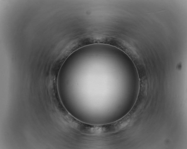 X0000090710225200707271138