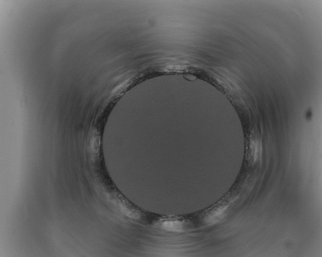 X0000090710228200707271138