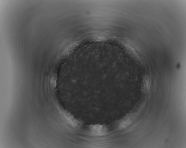 X0000090710230200707271138