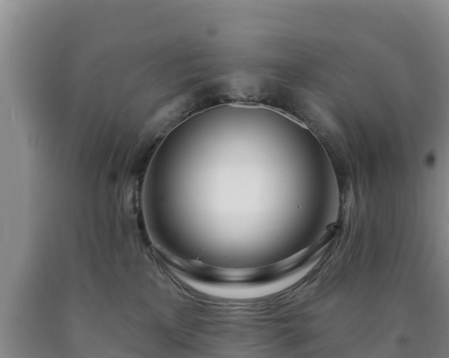 X0000090710233200707271138