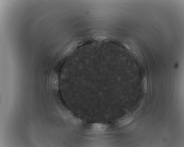 X0000090710234200707271138