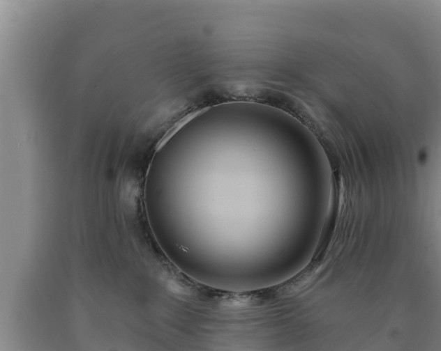 X0000090710235200707271138