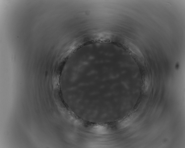 X0000090710236200707271138