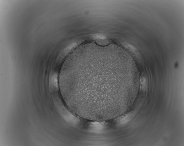 X0000090710238200707271138