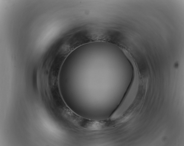 X0000090710239200707271138