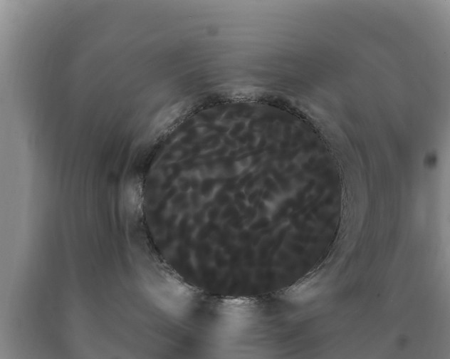 X0000090710240200707271138