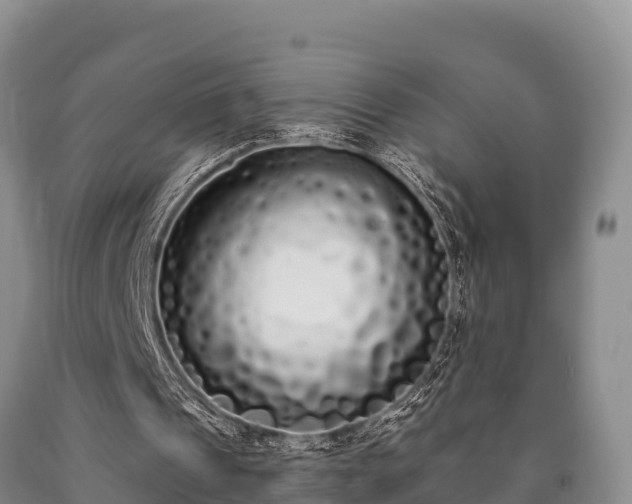 X0000090710241200707271137