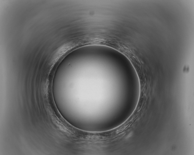 X0000090710242200707271137