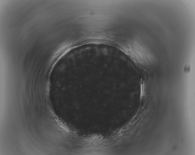 X0000090710243200707271137