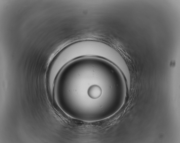 X0000090710244200707271137