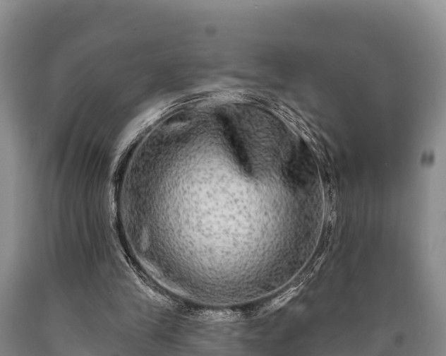 X0000090710245200707271137