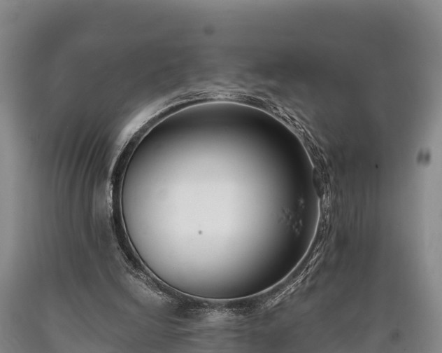 X0000090710246200707271137